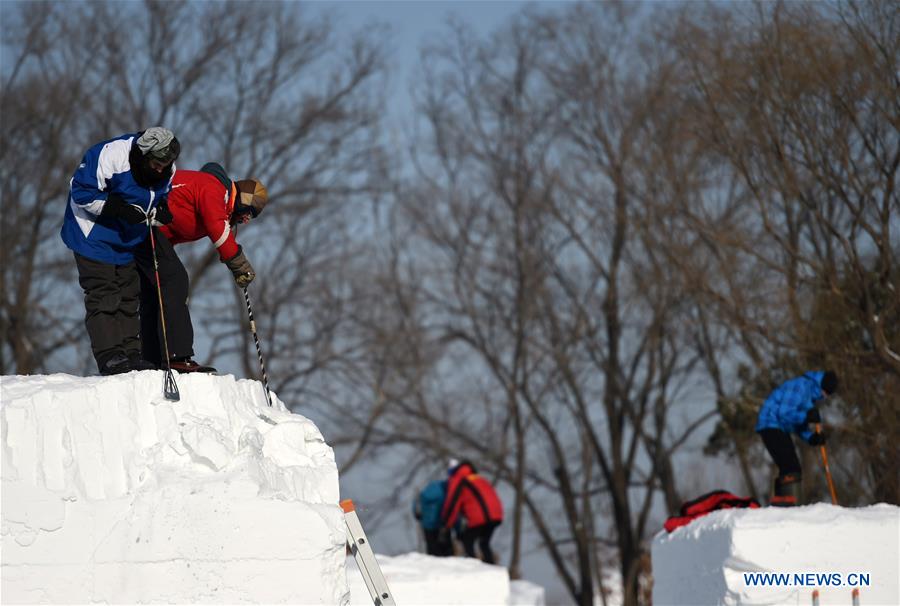 CHINA-HEILONGJIANG-HARBIN-SNOW SCULPTURE-COMPETITION (CN)