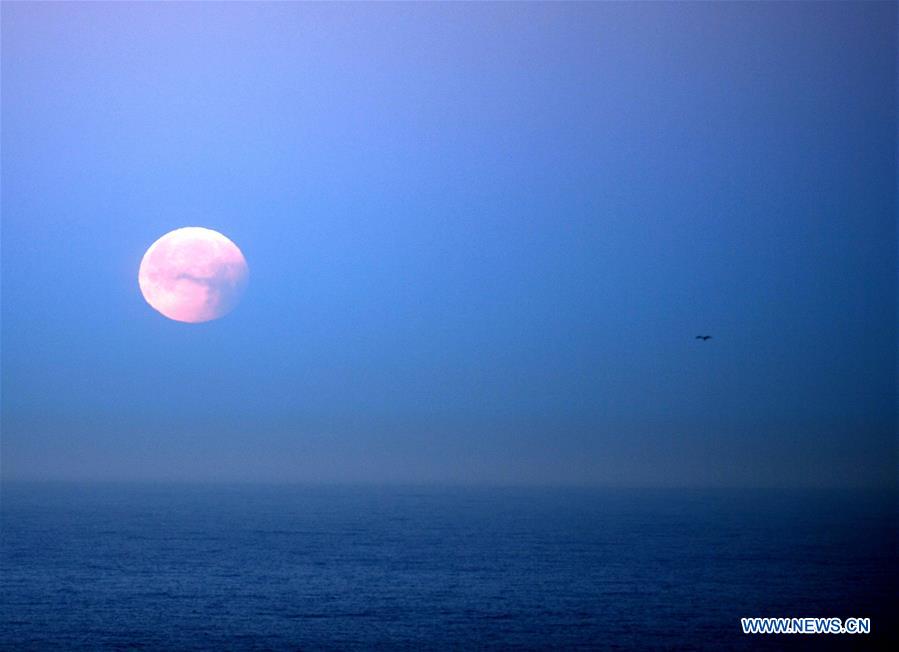 U.S.-SAN FRANCISCO-LUNAR ECLIPSE