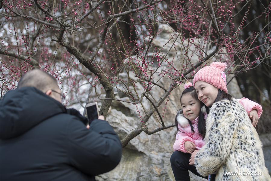 CHINA-HUBEI-WUHAN-PLUM BLOSSOM (CN)