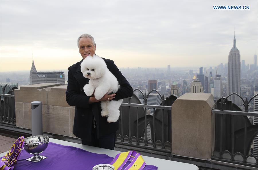 U.S.-NEW YORK-ROCKEFELLER CENTER-WESTMINSTER KENNEL CLUB DOG SHOW-FLYNN-BEST IN SHOW