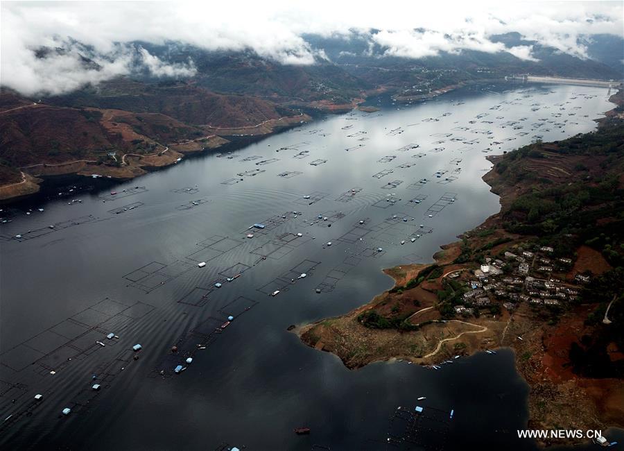 CHINA-GUANGXI-LANDSCAPE-FISHERY (CN)