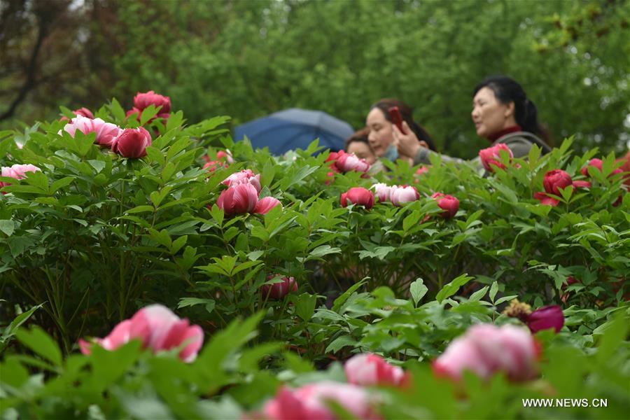 #CHINA-QINGMING FESTIVAL-TOURISM (CN)