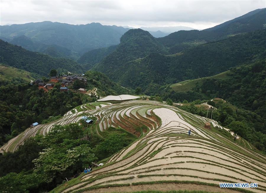 CHINA-GUIZHOU-RONGJIANG-TERRACE SCENERY (CN)