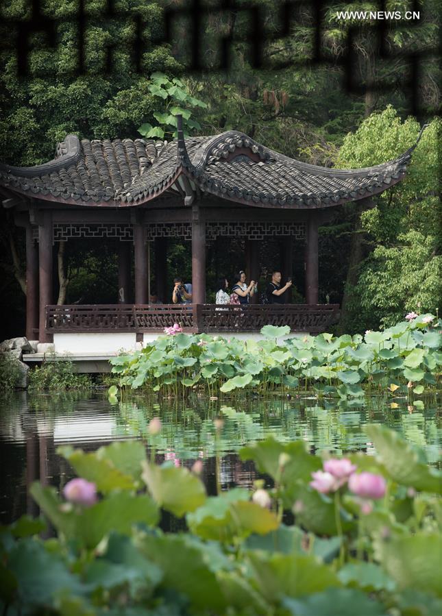 CHINA-ZHEJIANG-WEST LAKE-LOTUS FLOWERS (CN)