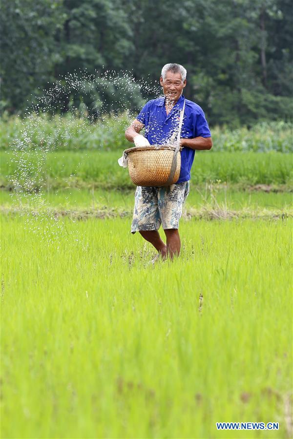 #CHINA-LESSER HEAT-FARMING (CN)