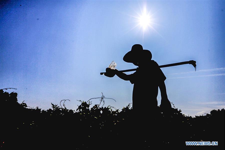 #CHINA-JI'AN-IRRIGATION DITCH-INSPECTION (CN)