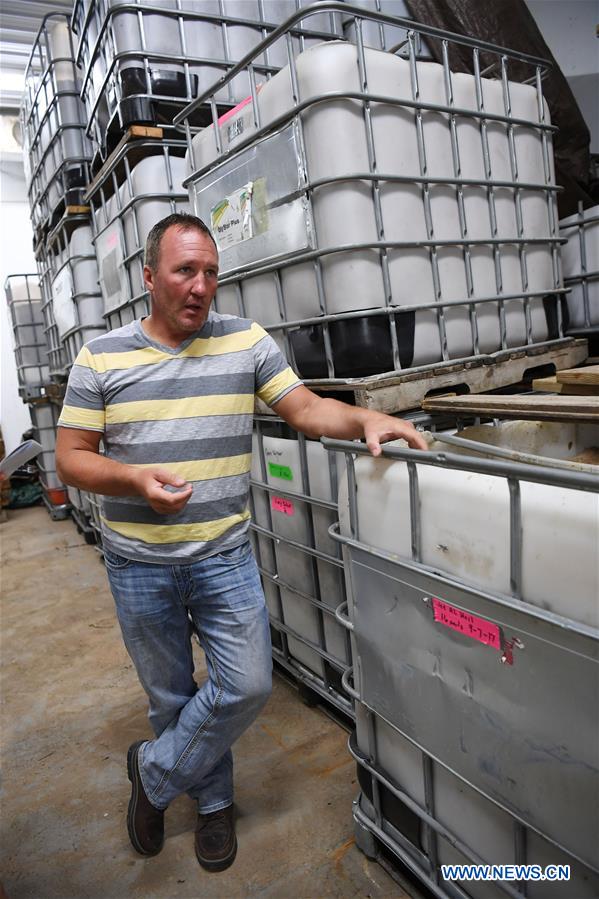 U.S.-WISCONSIN-GINSENG-TRADE-FARM