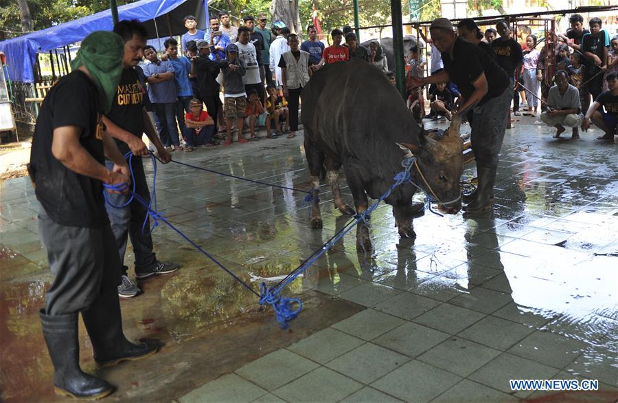 INDONESIA-JAKARTA-EID AL-ADHA