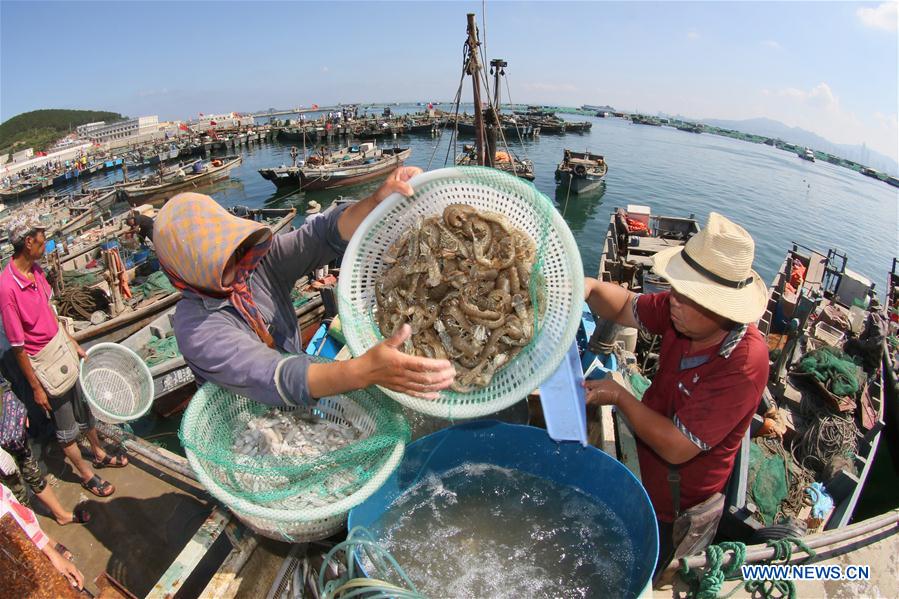 #CHINA-SHANDONG-YANTAI-FISHING BAN-END (CN)