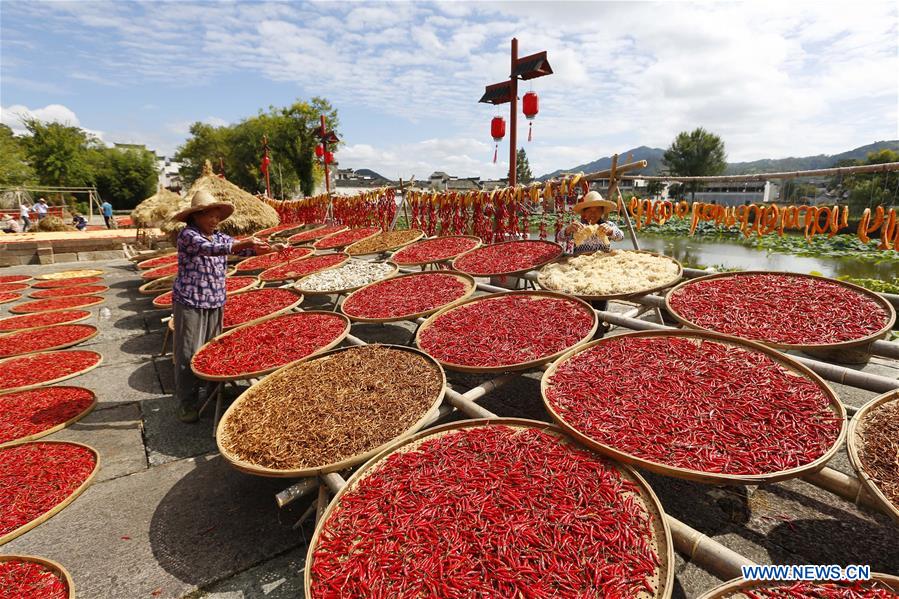 #CHINA-ANHUI-HUANGSHAN-AIRING CROPS (CN)