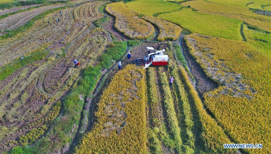 #CHINA-JIANGXI-AUTUMN-HARVEST (CN)