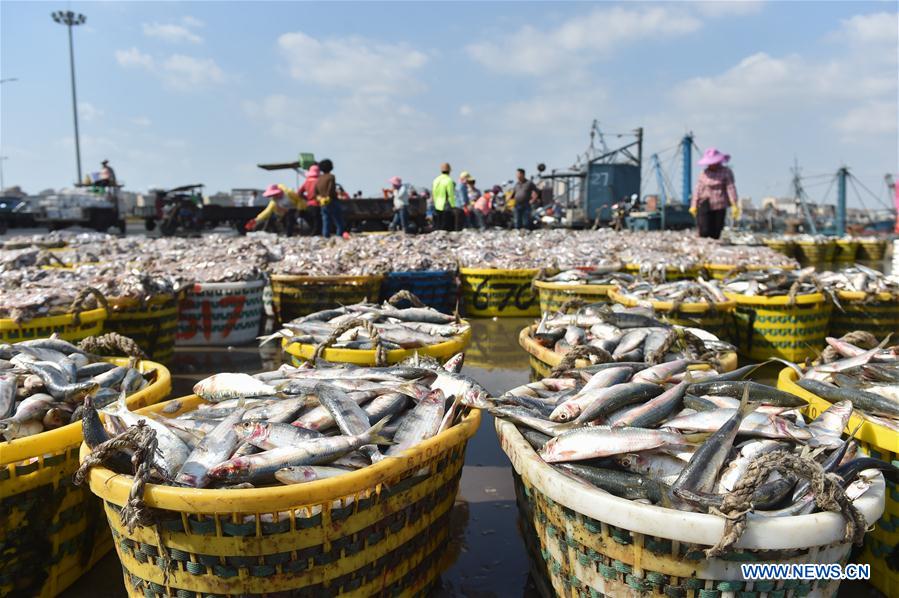 CHINA-FUJIAN-SHISHI-FISHING (CN)