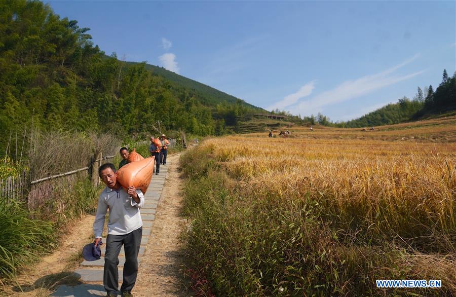 CHINA-JIANGXI-AUTUMN HARVEST(CN)