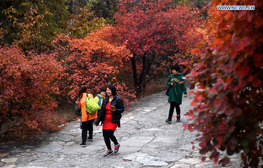 CHINA-BEIJING-BADACHU-AUTUMN SCENERY(CN)