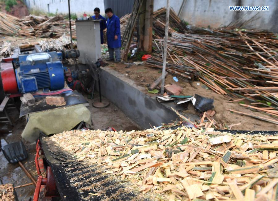 CHINA-JIANGXI-YICHUN-PAPER MAKING (CN)