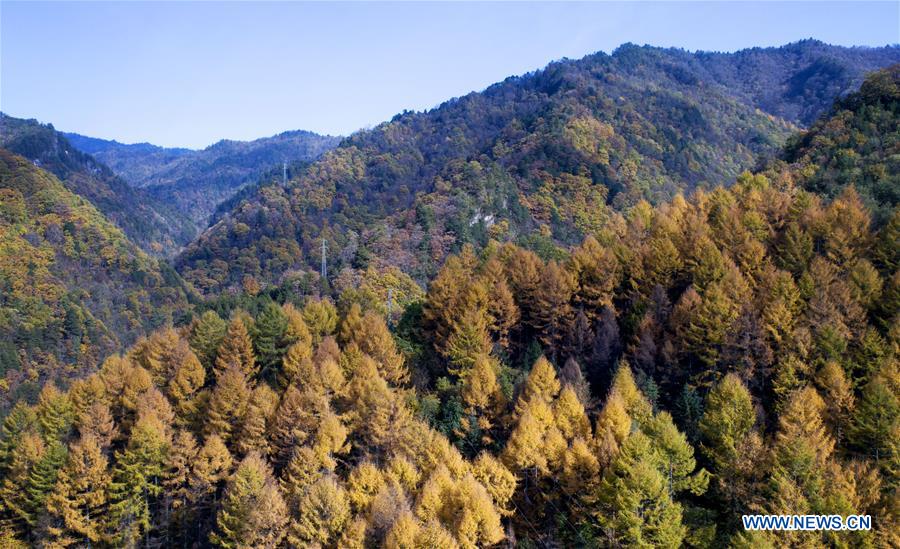 CHINA-QINLING MOUNTAINS-AUTUMN SCENERY(CN)