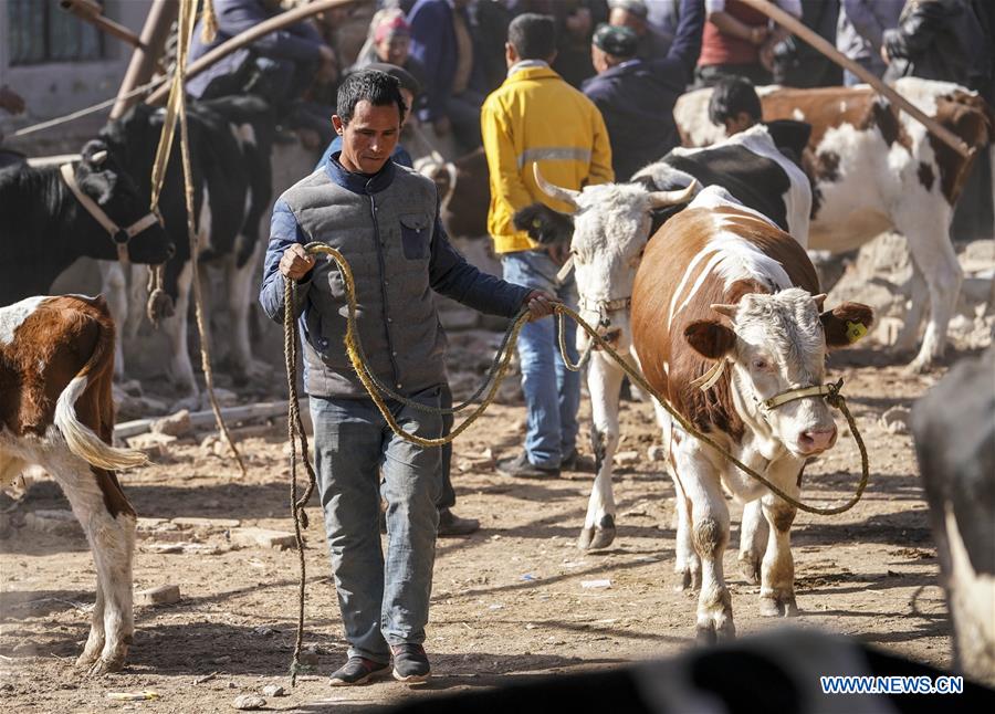 CHINA-XINJIANG-BACHU-DAILY LIFE-BAZAAR (CN)