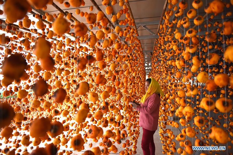 #CHINA-SHANDONG-LINYI-PERSIMMON (CN) 