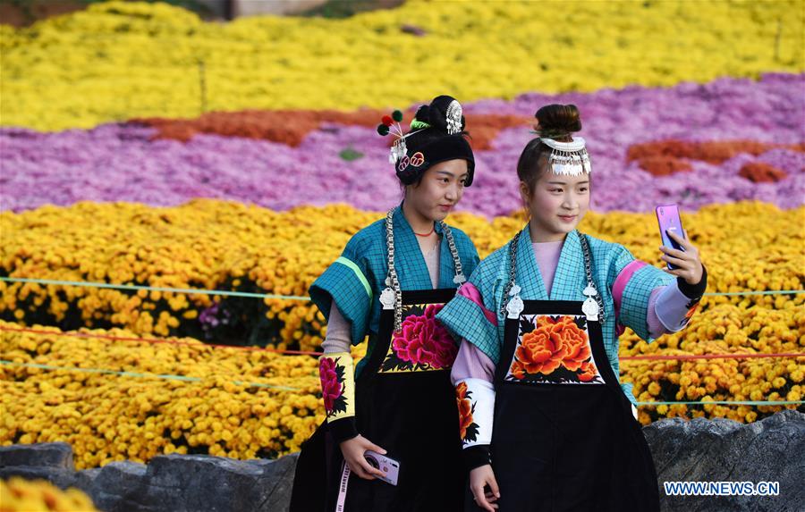 CHINA-GUIZHOU-CHRYSANTHEMUM-TOURISM (CN)