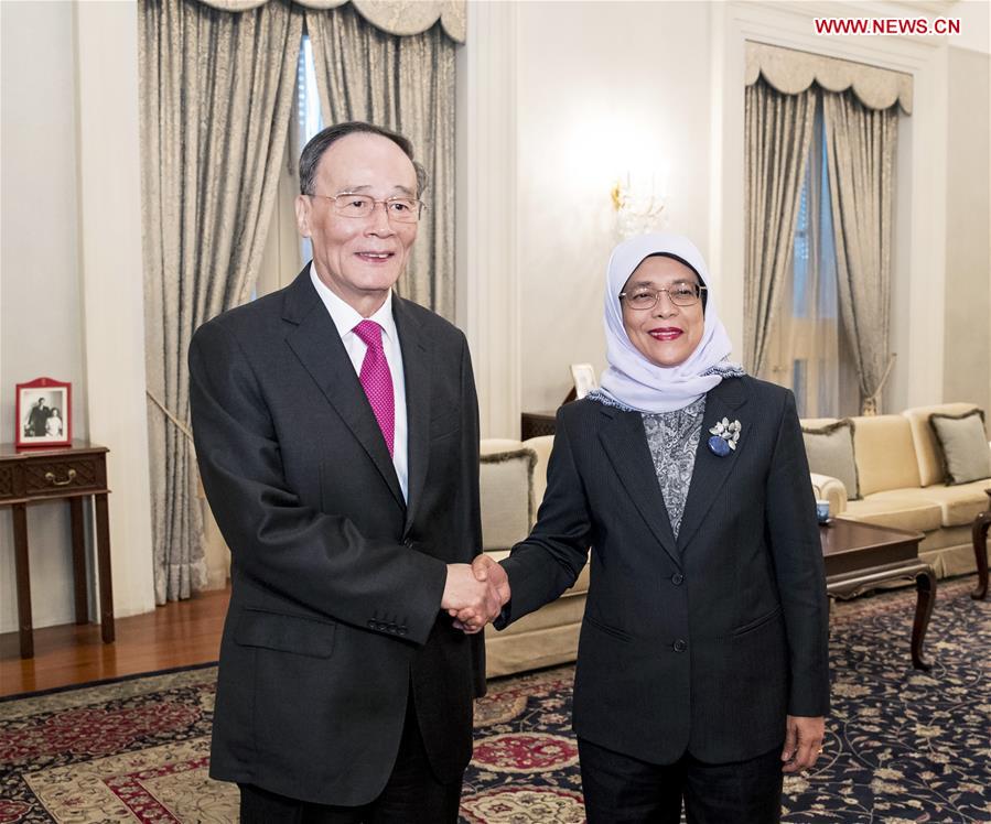 SINGAPORE-CHINA-WANG QISHAN-MEETING