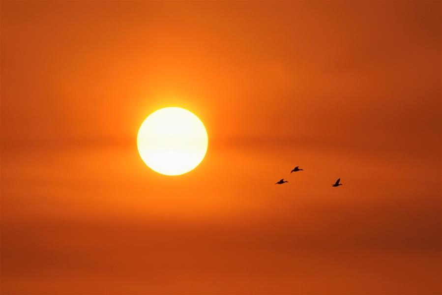 CHINA-HEBEI-BAIYANGDIAN-SUNRISE (CN)