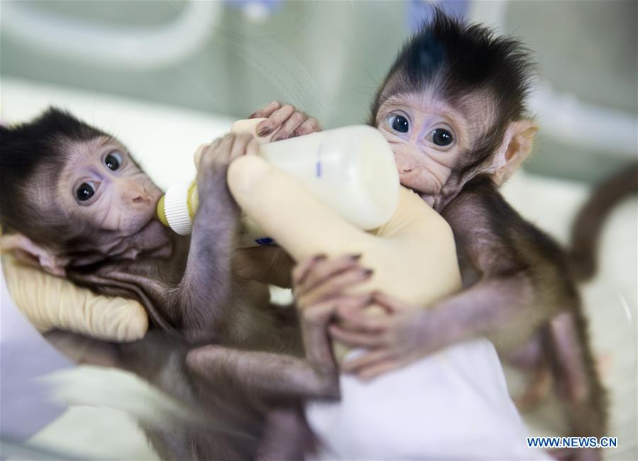 XINHUA-PICTURES OF THE YEAR 2018