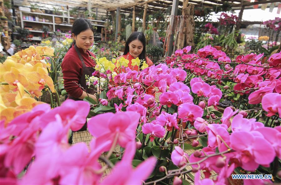 CHINA-FLOWER-SPRING FESTIVAL-PREPARATION (CN)