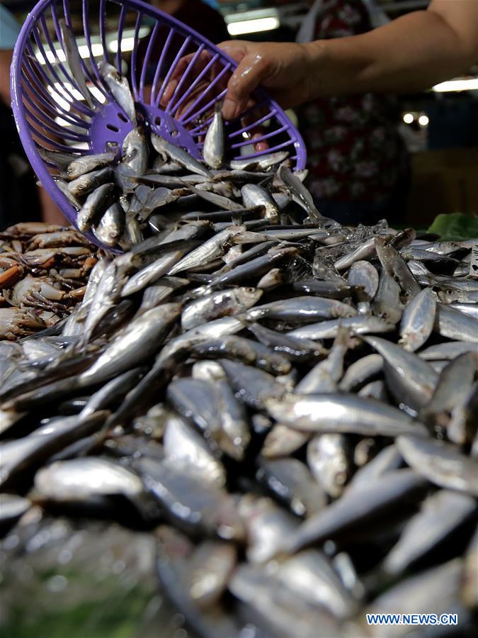 PHILIPPINES-QUEZON-MARKET-ENDANGERED FRESHWATER SARDINES