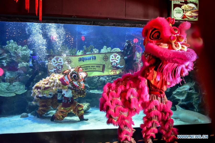 MALAYSIA-KUALA LUMPUR-UNDERWATER LION DANCE