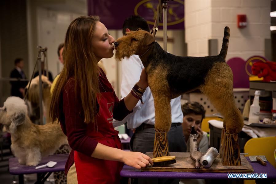 US-NEW YORK-DOG SHOW