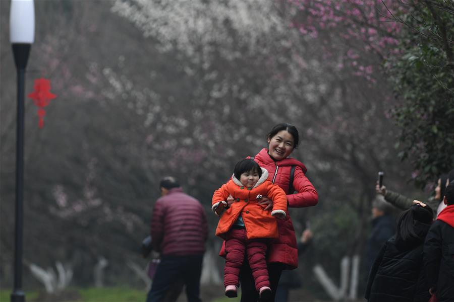 CHINA-HEFEI-PLUM BLOSSOM (CN)