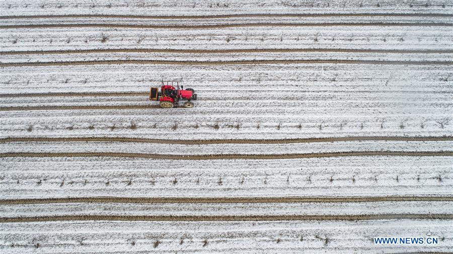 XINHUA PHOTOS OF THE DAY