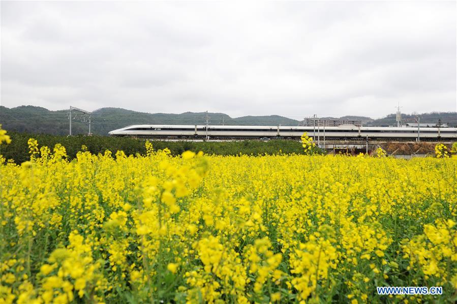 CHINA-GUIZHOU-HIGH SPEED TRAIN-COLE FLOWERS (CN)