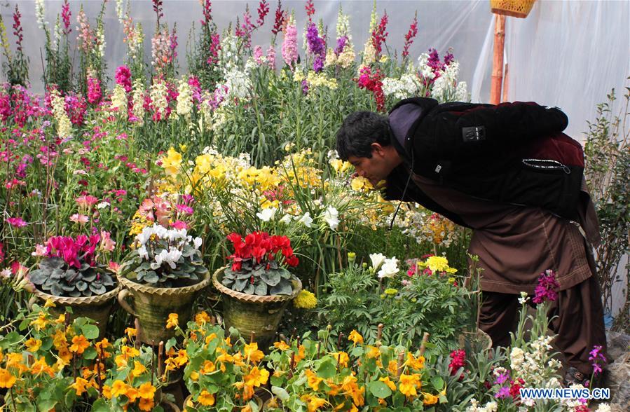 AFGHANISTAN-KANDAHAR-FLOWER SHOP