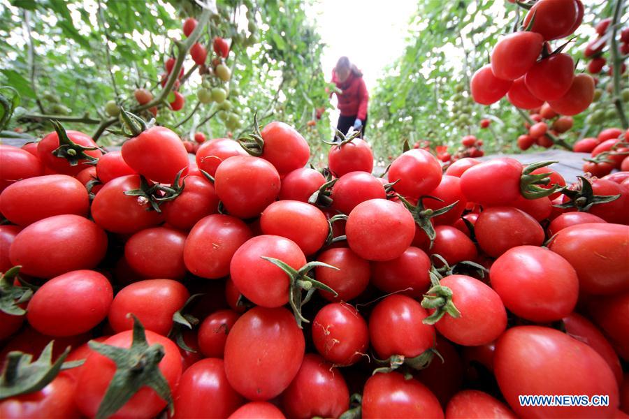 #CHINA-SPRING-FARMING (CN)