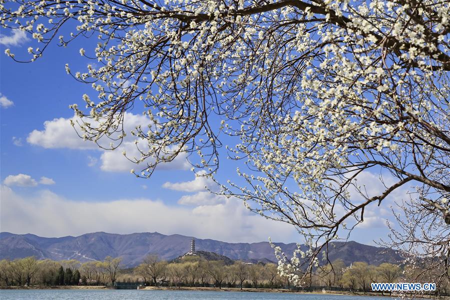 #CHINA-BEIJING-SUMMER PALACE-SCENERY (CN)