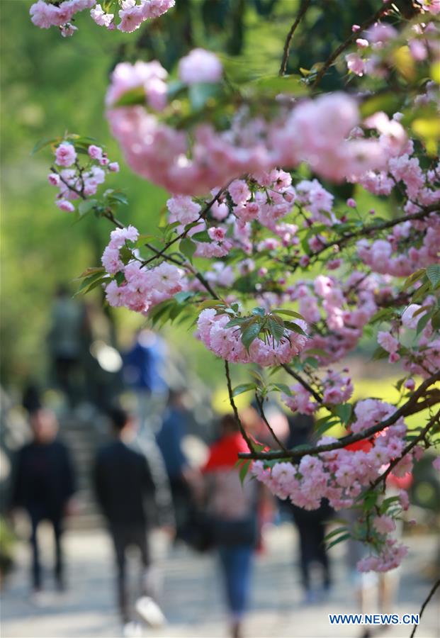 #CHINA-QINGMING FESTIVAL-HOLIDAY (CN)