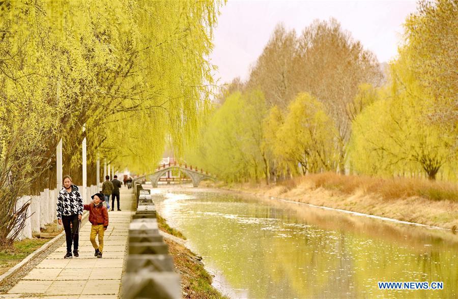 CHINA-TIBET-LHASA-WETLAND-SPRING