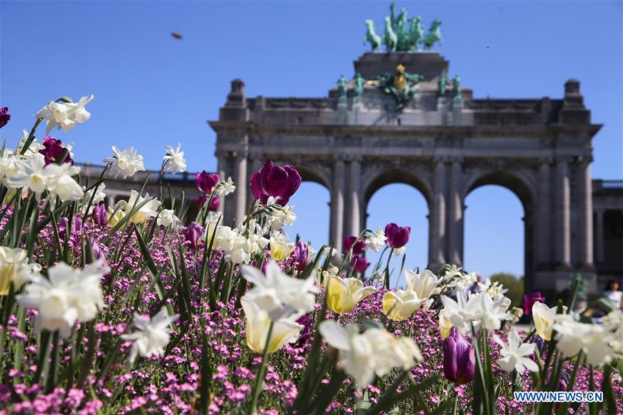 BELGIUM-BRUSSELS-CINQUANTENAIRE PARK