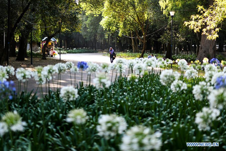 MEXICO-MEXICO CITY-PARK