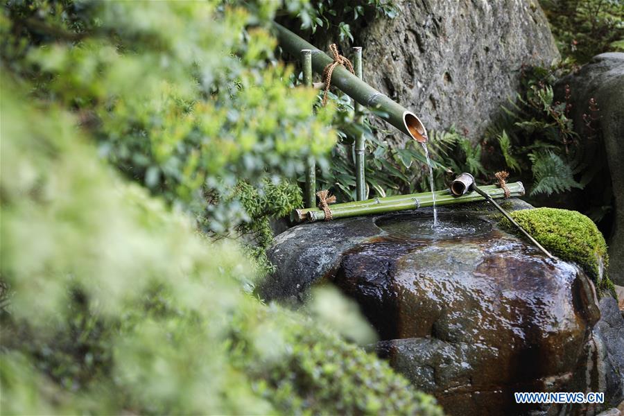 JAPAN-YASUGI-ADACHI MUSEUM OF ART