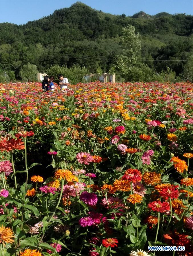 (EcoChina)CHINA-BEIJING-HORTICULTURAL EXPO (CN)