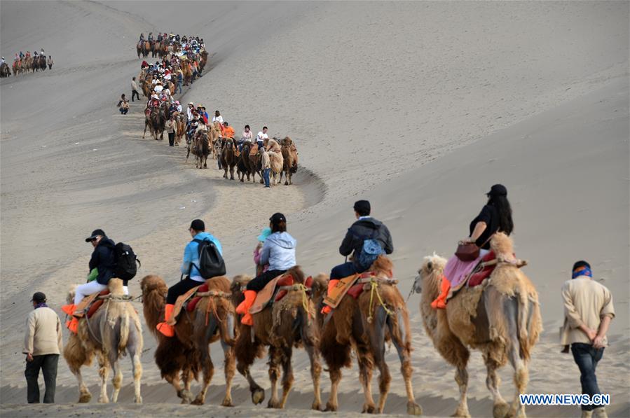 CHINA-GANSU-DUNHUANG-CAMEL-RIDE (CN)