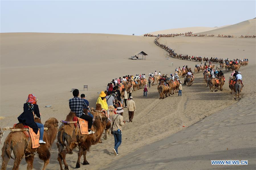 CHINA-GANSU-DUNHUANG-CAMEL-RIDE (CN)