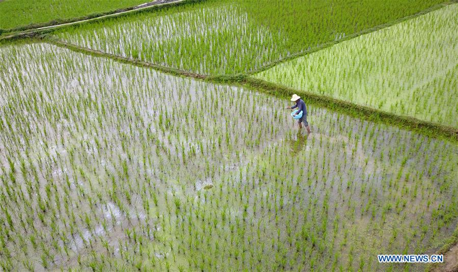 #CHINA-ECONOMY-FARMING (CN)