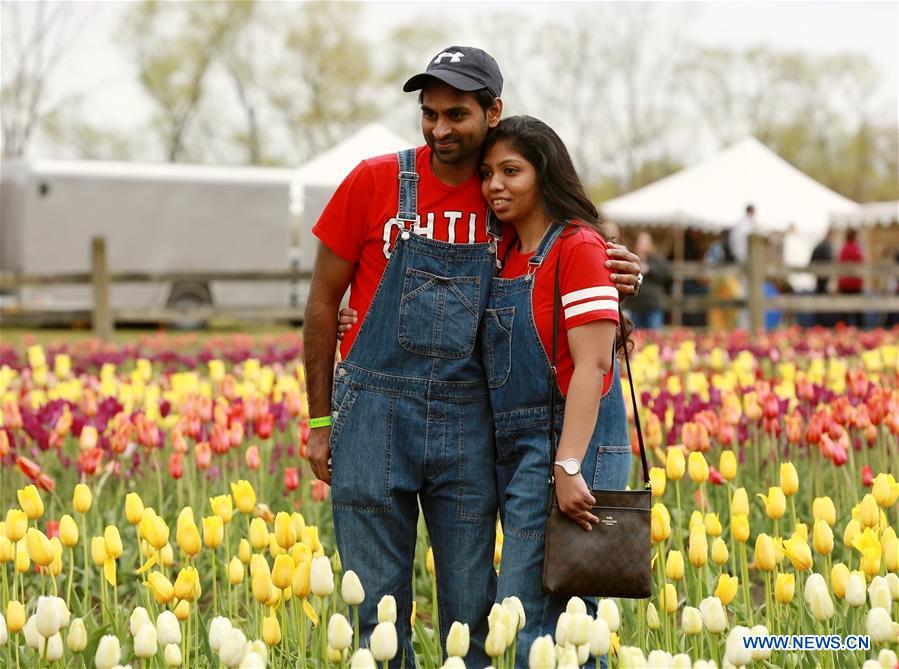 U.S.-MICHIGAN- HOLLAND-TULIP TIME FESTIVAL