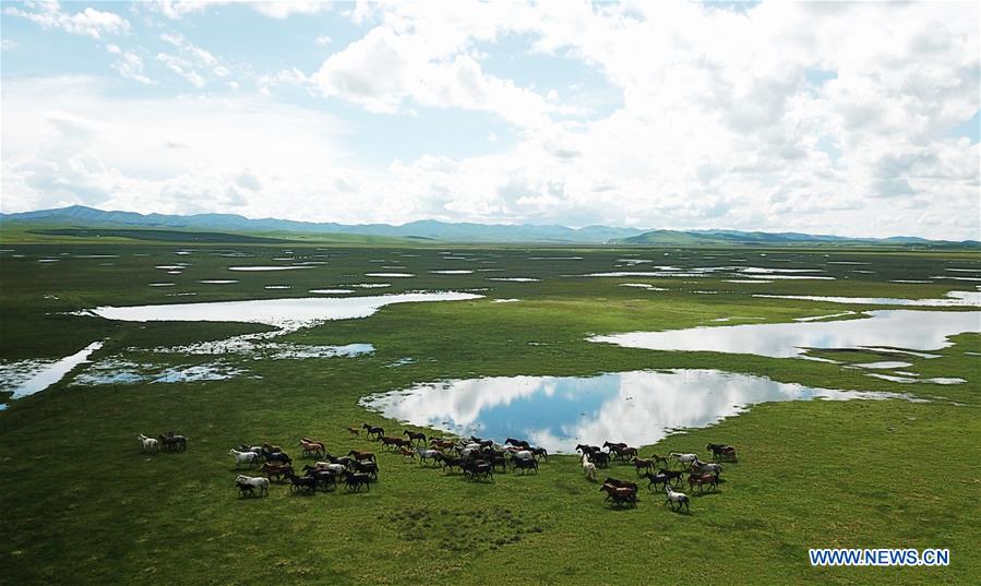 CHINA-GANSU-MAQU-HEQU HORSES (CN)