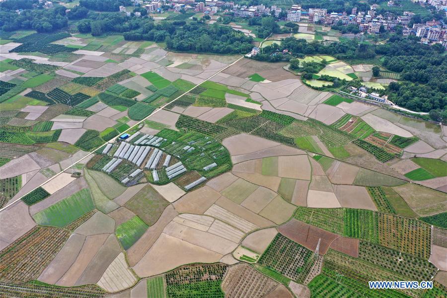 CHINA-GUANGXI-FARMLAND SCENERY (CN)