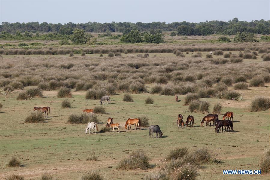 TURKEY-SAMSUN-KIZILIRMAK DELTA-SCENERY (CN)