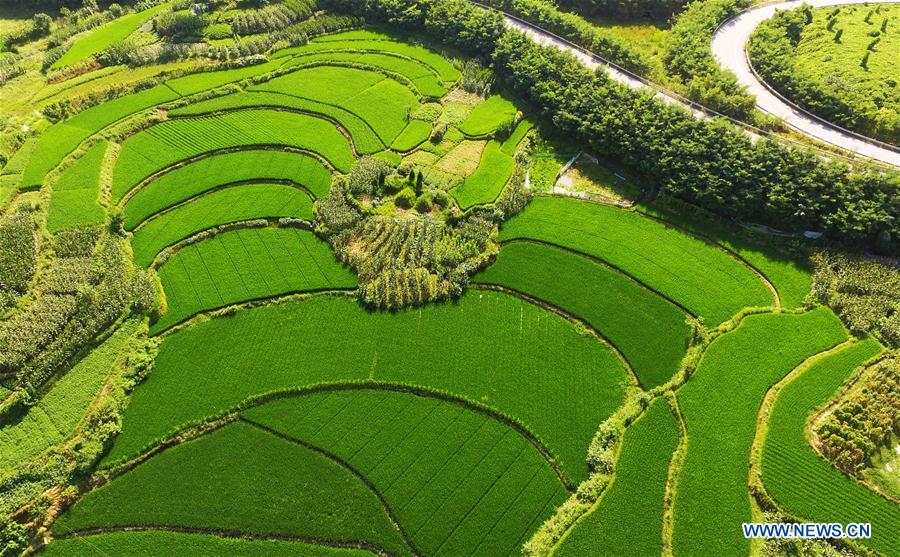 CHINA-CHONGQING-RURAL SCENERY (CN)